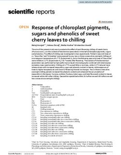 Response of chloroplast pigments, sugars and phenolics of sweet cherry leaves to chilling