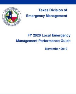 Texas Division of Emergency Management FY 2020 Local Emergency Management Performance Guide - November 2019
