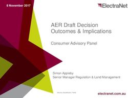 AER Draft Decision Outcomes & Implications - Consumer Advisory Panel 8 November 2017 - ElectraNet