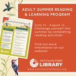 Summer Book Buzz - Cecil County Public Library