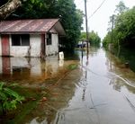 Indicators & Considerations for Key Sectors - Report for the Pacific Islands Regional Climate Assessment (PIRCA) - East-West Center