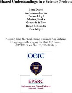 Shared Understandings in e-Science Projects