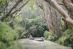 Must do's FRASER COAST - visitfrasercoast.com - Australia's Nature Coast