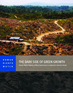 THE DARK S DE OF GREEN GROWTH Human Rights Impacts of ...