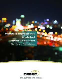 Tomorrow's Energy Scenarios 2019 Ireland - Planning our Energy Future System Needs Assessment - EirGrid