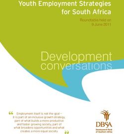 Development conversations - Youth Employment Strategies for South Africa - DBSA