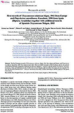First records of Chrysotoxum volaticum Séguy, 1961 from Europe and Platycheirus marokkanus Kassebeer, 1998 from Spain (Diptera: Syrphidae) ...