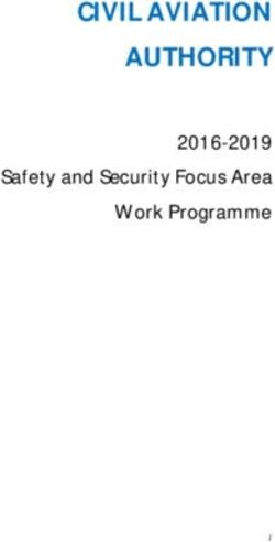 CIVIL AVIATION AUTHORITY - 2016-2019 Safety and Security Focus Area Work Programme
