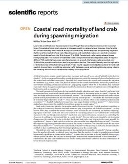 Coastal road mortality of land crab during spawning migration
