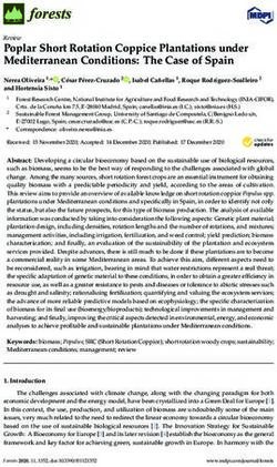 Poplar Short Rotation Coppice Plantations under Mediterranean Conditions: The Case of Spain - MDPI
