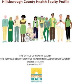 Hillsborough County Health Equity Profile - THE OFFICE OF HEALTH EQUITY ...