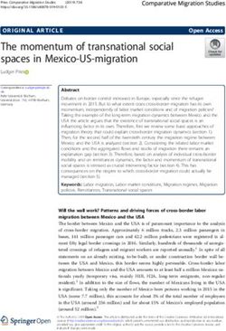 The momentum of transnational social spaces in Mexico-US-migration