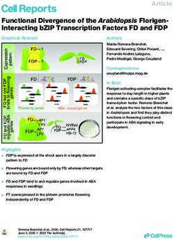Functional Divergence of the Arabidopsis Florigen-Interacting bZIP Transcription Factors FD and FDP