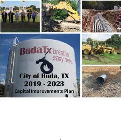 City of Buda, TX 2019 2023 - Capital Improvements Plan