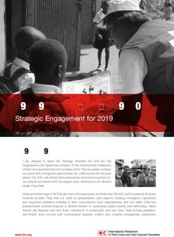 PROGRAMMES AND OPERATIONS - Strategic Engagement for 2019 - International Federation of Red ...