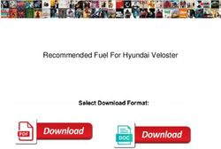 Recommended Fuel For Hyundai Veloster - Silver Asset ...