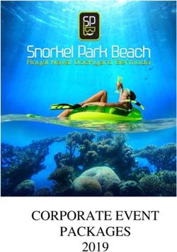 CORPORATE EVENT PACKAGES 2019 - Snorkel Park Beach