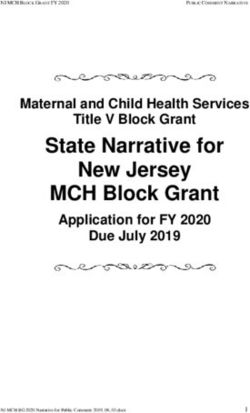 State Narrative for New Jersey MCH Block Grant - Application for FY 2020 Maternal and Child Health Services Title V Block Grant Due July 2019 - NJ.gov