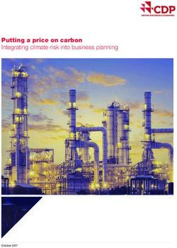 Putting a price on carbon Integrating climate risk into business planning