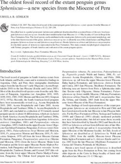 The oldest fossil record of the extant penguin genus Spheniscus-a new species from the Miocene of Peru