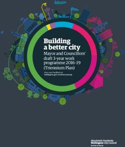Building a better city - Mayor and Councillors' draft 3-year work programme 2016-19 (Triennium Plan) - Wellington City Council