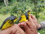 2021 BIRDATHON REPORT - s $107k+ - The Natural Resources Foundation of ...