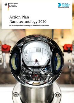 Action Plan Nanotechnology 2020 - An inter-departmental strategy of the Federal Government - BAM