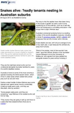 Snakes alive: ?eadly tenants nesting in Australian suburbs - Phys.org