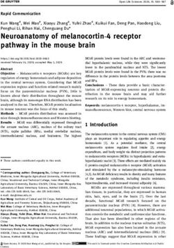 Neuroanatomy of melanocortin-4 receptor pathway in the mouse brain