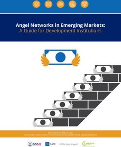 Angel Networks in Emerging Markets: A Guide for Development Institutions - USAID