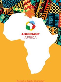 ABUNDANT AFRICA - Our decade to shape the African century