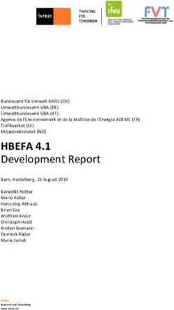 HBEFA 4.1 Development Report