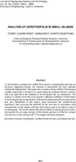 ANALYSIS OF AEROTROPOLIS IN SMALL ISLANDS - FORMAT ...