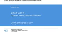 Outlook for 2019 Update on relevant meetings and initiatives - unfccc