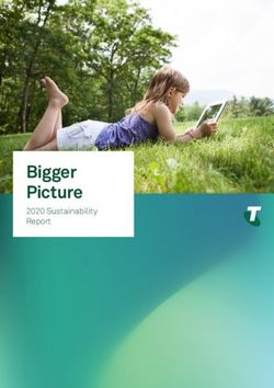 Bigger Picture 2020 Sustainability Report