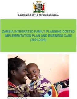 business plan in zambia pdf