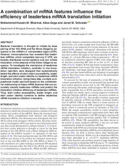 A combination of mRNA features influence the efficiency of leaderless mRNA translation initiation