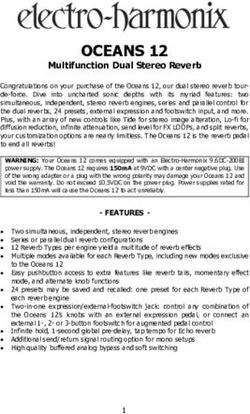 OCEANS 12 Multifunction Dual Stereo Reverb - Electro-Harmonix
