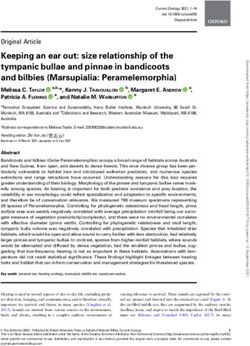 Keeping an ear out: size relationship of the tympanic bullae and pinnae in bandicoots and bilbies (Marsupialia: Peramelemorphia)