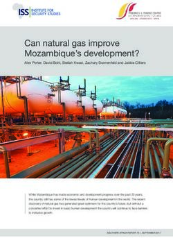 Can natural gas improve Mozambique's development?