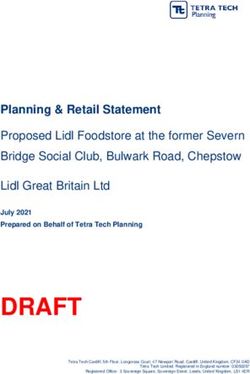 DRAFT - Planning & Retail Statement Proposed Lidl Foodstore at the former Severn Bridge Social Club, Bulwark Road, Chepstow - Consultations