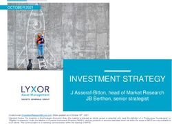 INVESTMENT STRATEGY J Asseraf-Bitton, head of Market Research JB Berthon, senior strategist - Lyxor