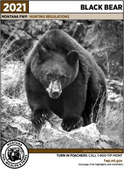 2021 BLACK BEAR - Montana State Parks