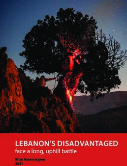 LEBANON'S DISADVANTAGED - face a long, uphill battle Bitte Hammargren 2021