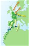 Wintering Blackcaps A BTO Garden BirdWatch factsheet