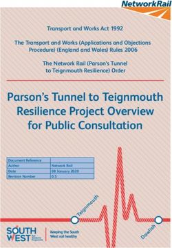 Parson's Tunnel to Teignmouth Resilience Project Overview for Public Consultation