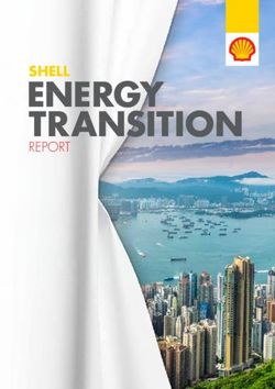 ENERGY TRANSITION SHELL - REPORT - Shell Global