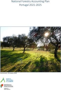 National Forestry Accounting Plan Portugal 2021-2025