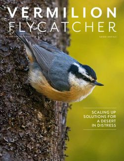 SCALING UP SOLUTIONS FOR A DESERT IN DISTRESS - Tucson Audubon Society