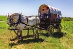 Song of the Prairie Music echoes across the Flint Hills during an annual - Kansas City Symphony